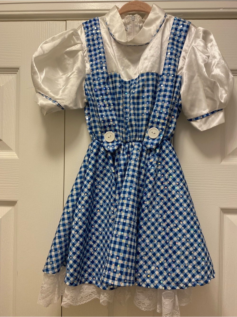 Dorothy Costume – Blue Gingham Dress (Wizard of Oz)